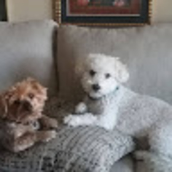 Meet your Posher, Barbara - Picture 1 of 1